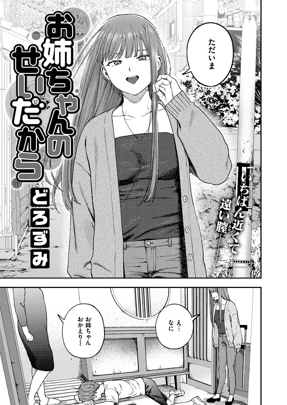 お姉ちゃんのせいだから  エロ画像4