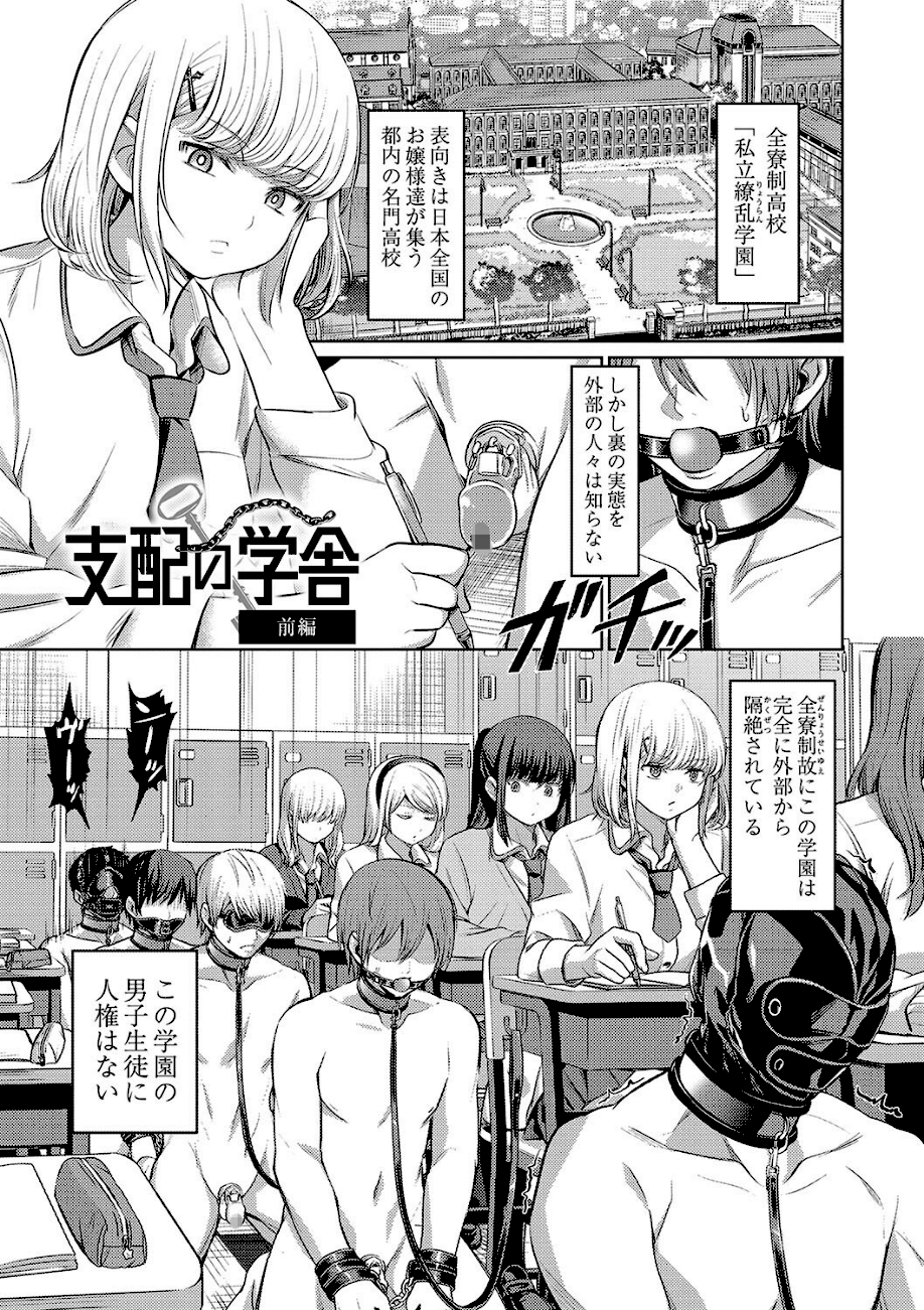 ざ・ふぃめーる・どみねーしょん【デジタル特装版】  エロ画像4