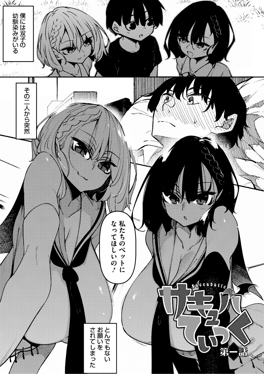 サキュバてぃっく【単行本】  エロ画像2
