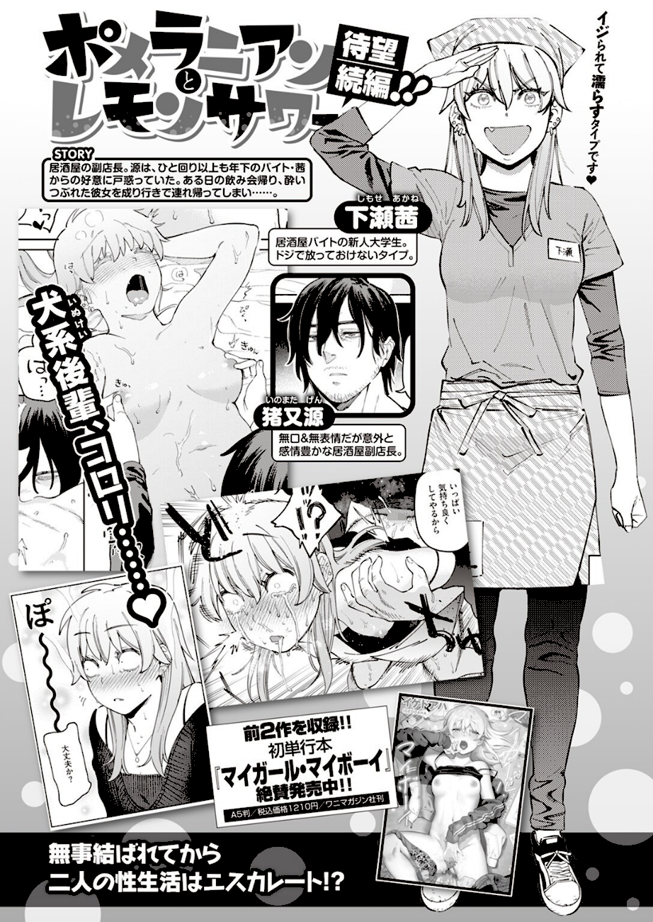 ポメラニアンと発情期 エロ画像1