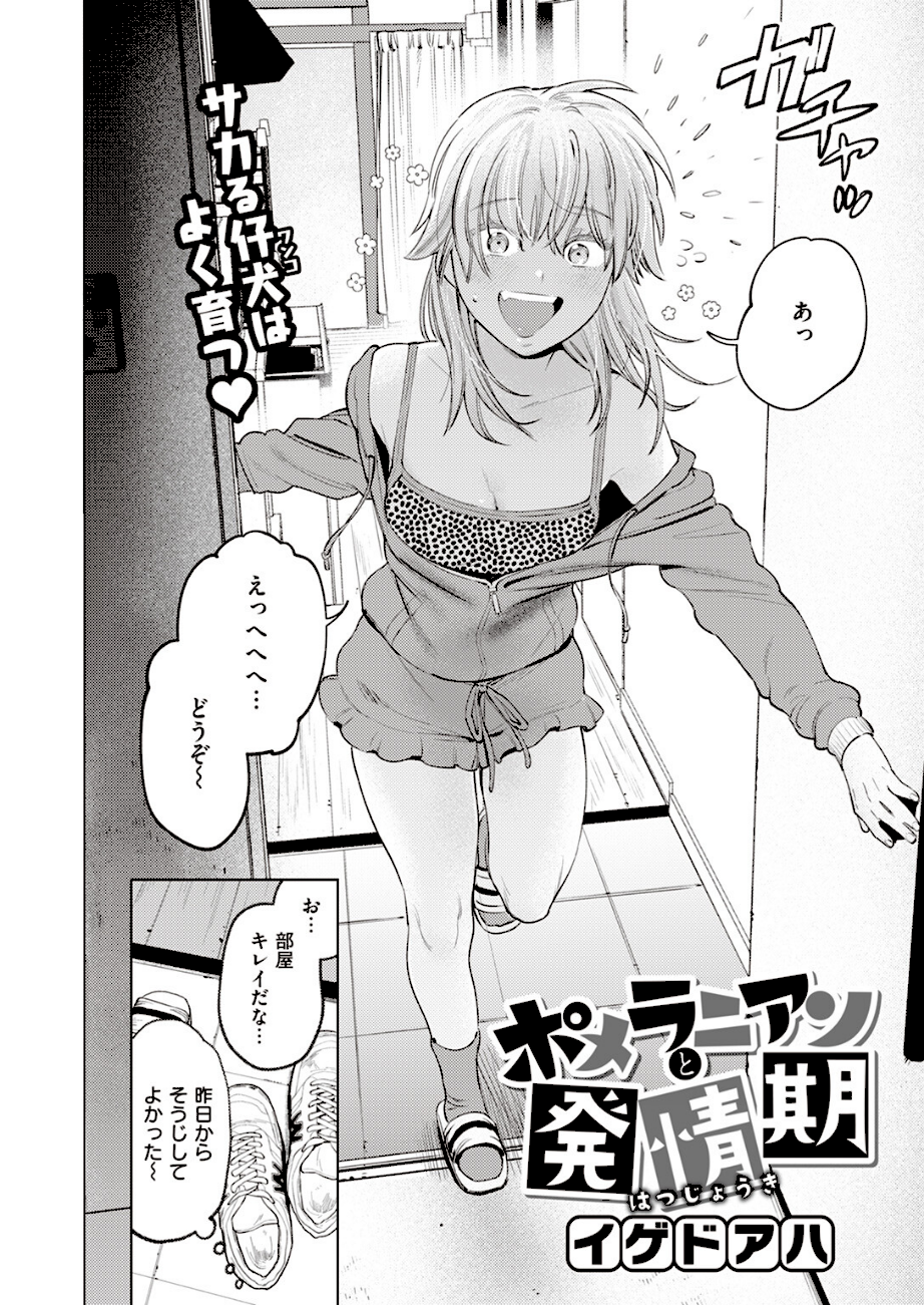 ポメラニアンと発情期 エロ画像3