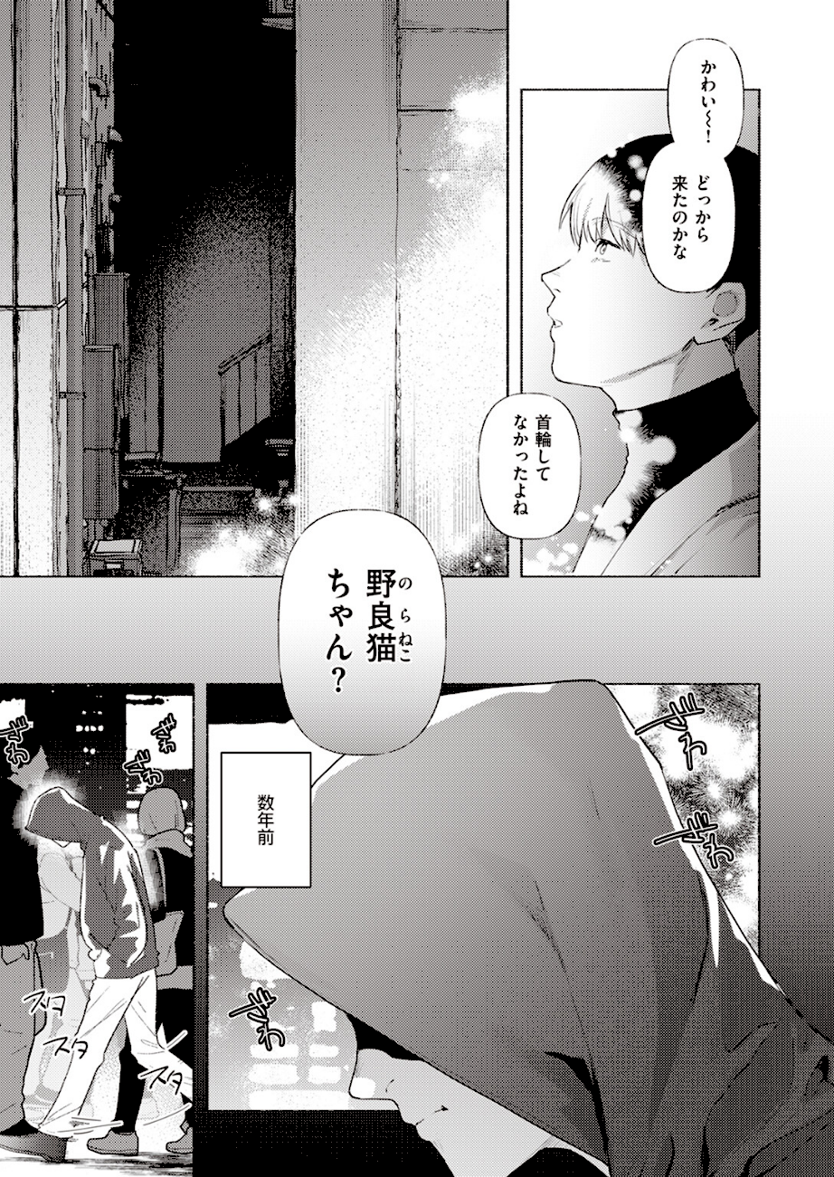 野良猫  エロ画像2